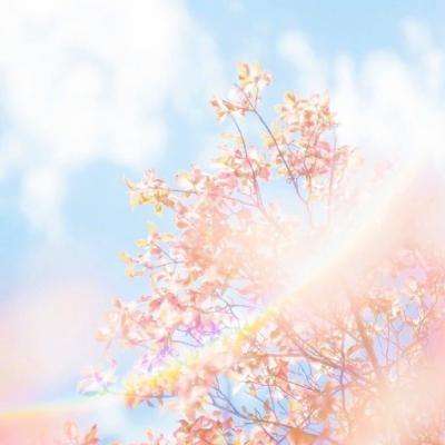 海星体育ios下载