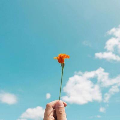 真人斗牛牛最新版手机app下载