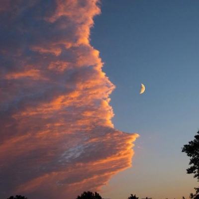 开云电竞app下载