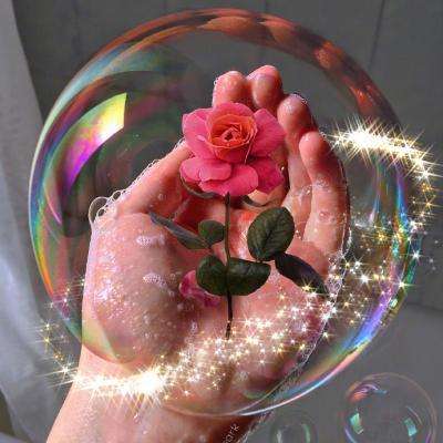 星空体育app下载